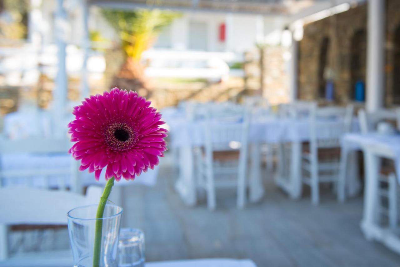 Villa Irini Platis Gialos  Экстерьер фото